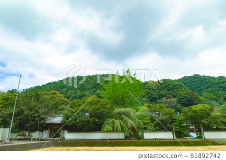 綠意盎然的法善寺 81892742