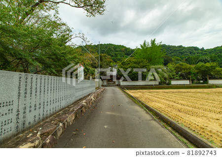 綠意盎然的法善寺 81892743