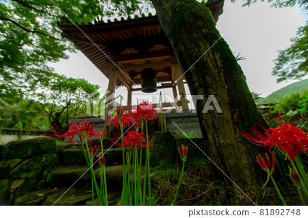 綠意盎然的法善寺 綠意盎然的法善寺 81892748