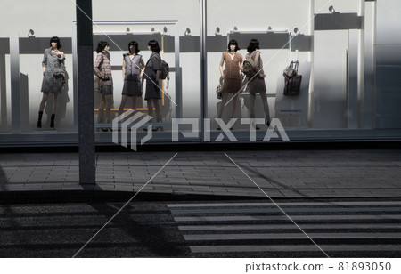 時尚精品櫥窗 81893050