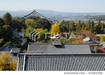 Nara City overlooking the Great Buddha Hall from Todaiji Nigatsudo 81893300