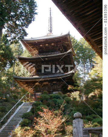 滋賀縣城樂寺三重塔港南市 滋賀縣城樂寺三重塔港南市 81893396