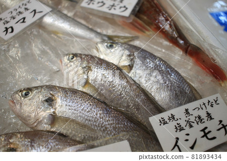 Ishimochi from Shiogama Port 81893434