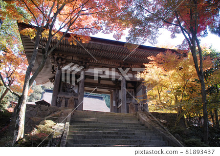 金剛林寺二天門滋賀縣 81893437