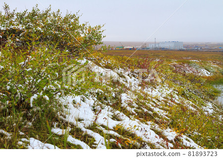 Summer arctic landscape with tundra and processing plant. 81893723