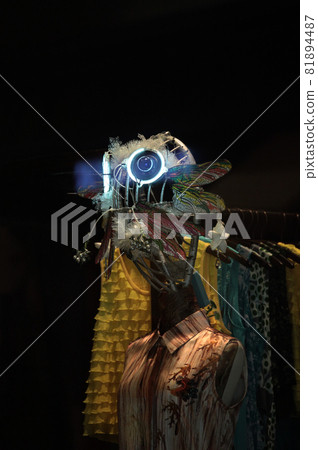 Fashion boutique window 81894487