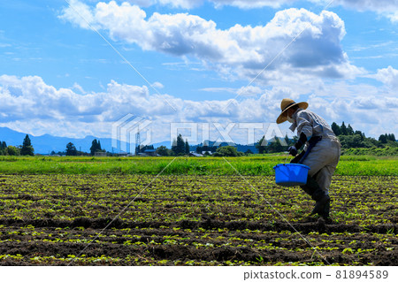 Male farmer farming in the field 81894589