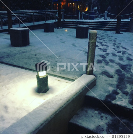 The winter The winter 81895139
