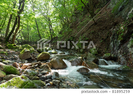 A river shining through the sunlight in Ashiomachi, Nikko City, Tochigi Prefecture (September) Uchinokago River 81895259