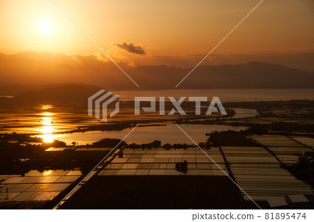 Paddy fields and night view dyed in the sunset from the Inokosan Park observatory 81895474
