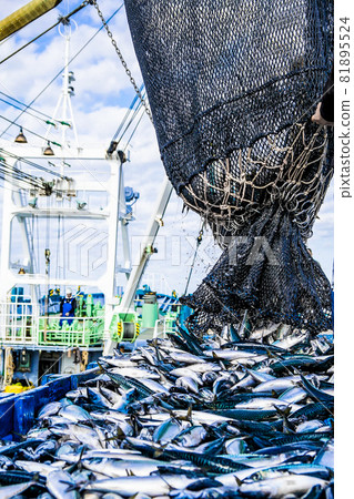 鯖魚登陸 5 81895524