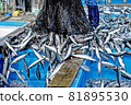 鯖魚登陸 11 81895530