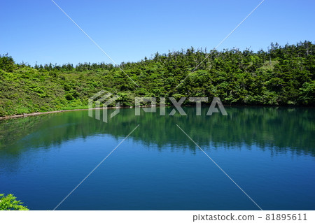 去看看夏天的八幡平火神沼 81895611