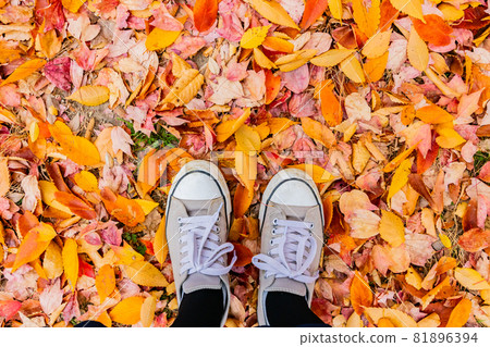落葉和腳 落葉和腳 81896394
