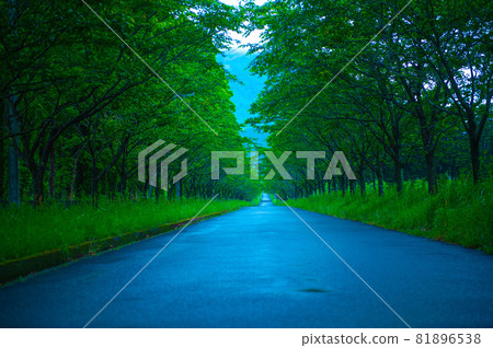 一條直路，美麗的蝦天際線 81896538