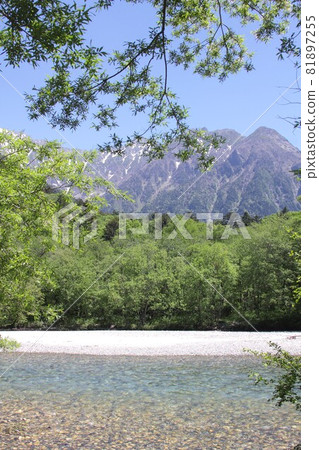 Shinshu Kamikochi, Azusa River surrounded by fresh spring greenery and Mt. Myojindake in the Northern Alps in the background 81897255