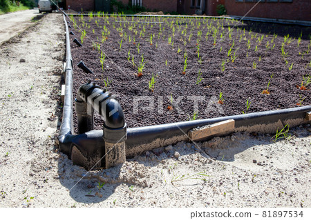 Water Recycling with Reed Beds Water Recycling with Reed Beds 81897534