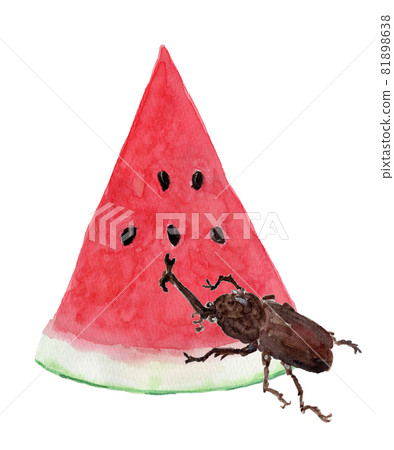 Watercolor illustration of cut watermelon and beetle 81898638