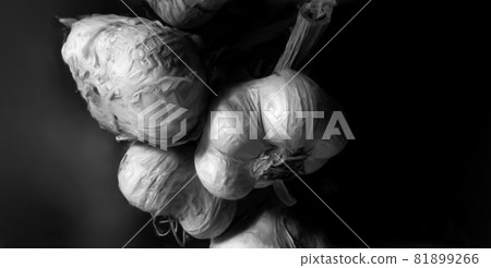 單色油蒜 單色油蒜 81899266