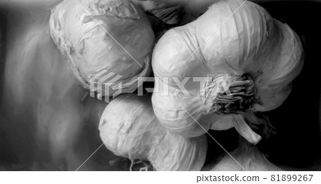 單色油蒜 單色油蒜 81899267