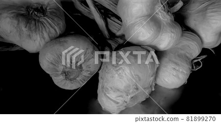 單色油蒜 單色油蒜 81899270