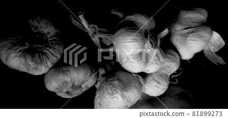 Monochrome oil-style garlic Monochrome oil-style garlic 81899273