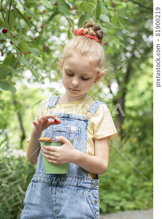 Little girl is picking cherries in the garden. Little girl is picking cherries in the garden. 81900219