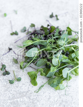 Assortment of micro greens on concrete background Assortment of micro greens on concrete background 81900222