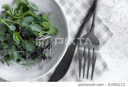 Assortment of micro greens on concrete background Assortment of micro greens on concrete background 81900223