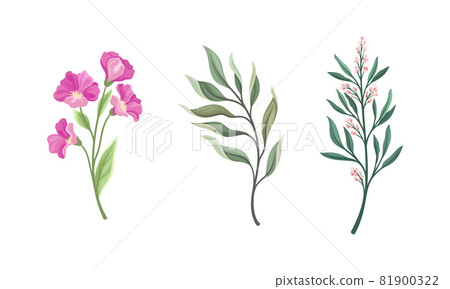 Twig and Foliage with Stem, Leaves and Blooming Flower Vector Set 81900322