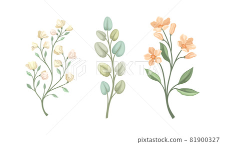 Twig and Foliage with Stem, Leaves and Blooming Flower Vector Set Twig and Foliage with Stem, Leaves and Blooming Flower Vector Set 81900327