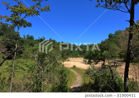 Armor dam filled with sand Armor dam filled with sand 81900431