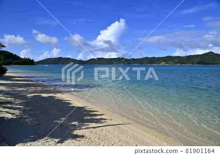 Amami Oshima coast and summer cloud scenery 81901164