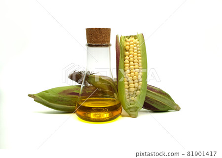 Fresh maize or corn on the cob with olive oil Fresh maize or corn on the cob with olive oil 81901417