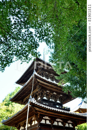 Kofukuji Temple (Mie Tower) [National Treasure] [Nara City, Nara Prefecture] 81901811