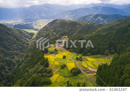 長野縣金藍色惡魔村白馬村的梯田景觀（無人機鳥瞰） 81903297