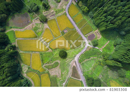 長野縣金藍色惡魔村白馬村的梯田景觀（無人機鳥瞰） 81903308