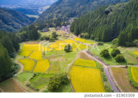 長野縣金藍色惡魔村白馬村的梯田景觀(無人機鳥瞰) 長野縣金藍色惡魔村白馬村的梯田景觀(無人機鳥瞰) 81903309