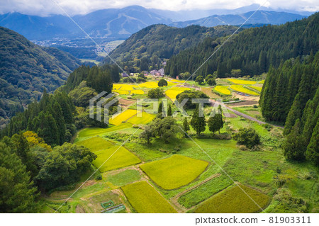 View of rice terraces in the golden blue demon village Hakuba Village, Nagano Prefecture (aerial view by drone) View of rice terraces in the golden blue demon village Hakuba Village, Nagano Prefecture (aerial view by drone) 81903311