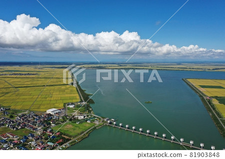 海堤和景觀 81903848