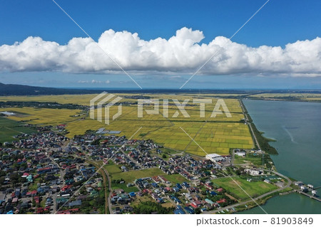 Seawall and landscape 81903849