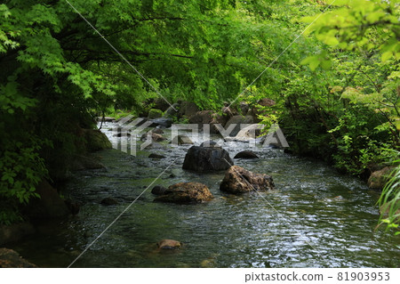 清除流 清除流 81903953