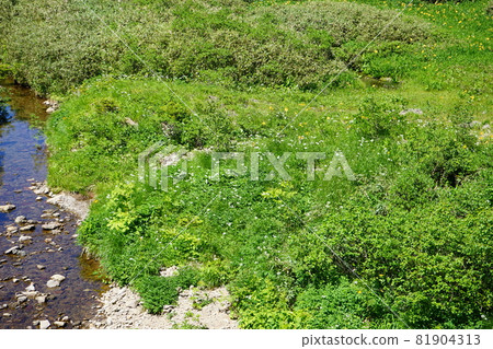 Let's go and see Hachimantai in summer Kuroyachi 81904313