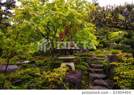 西經寺的雲南萩 81904464