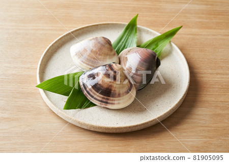 盤子裡的蛤蜊 盤子裡的蛤蜊 81905095