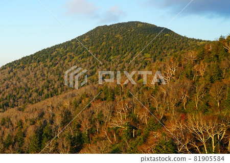 八甲田山索道 81905584