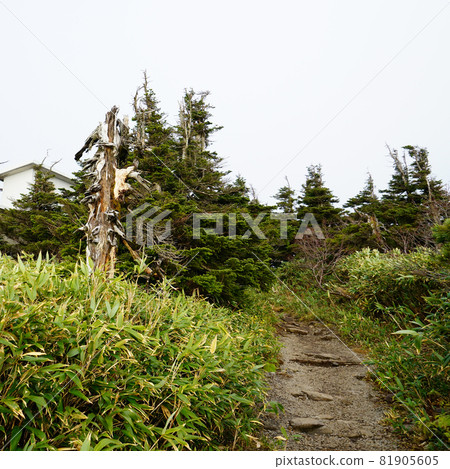 八甲田山索道 八甲田山索道 81905605