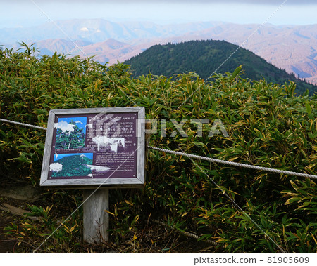 八甲田山索道 八甲田山索道 81905609