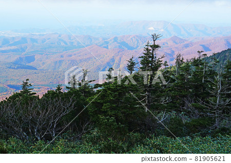 八甲田山索道 八甲田山索道 81905621