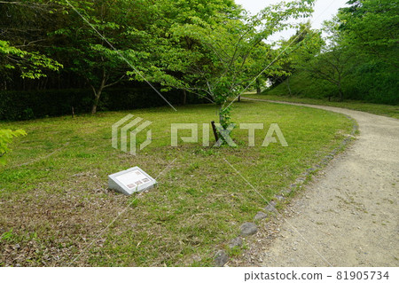 靜岡縣掛川市橫須賀城遺址北丸 81905734